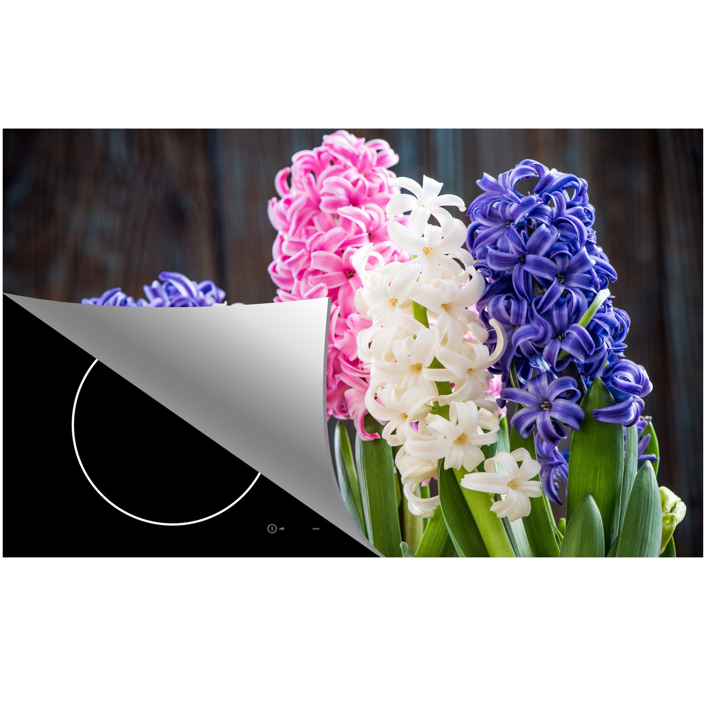 Inductie beschermer – Hyacinth