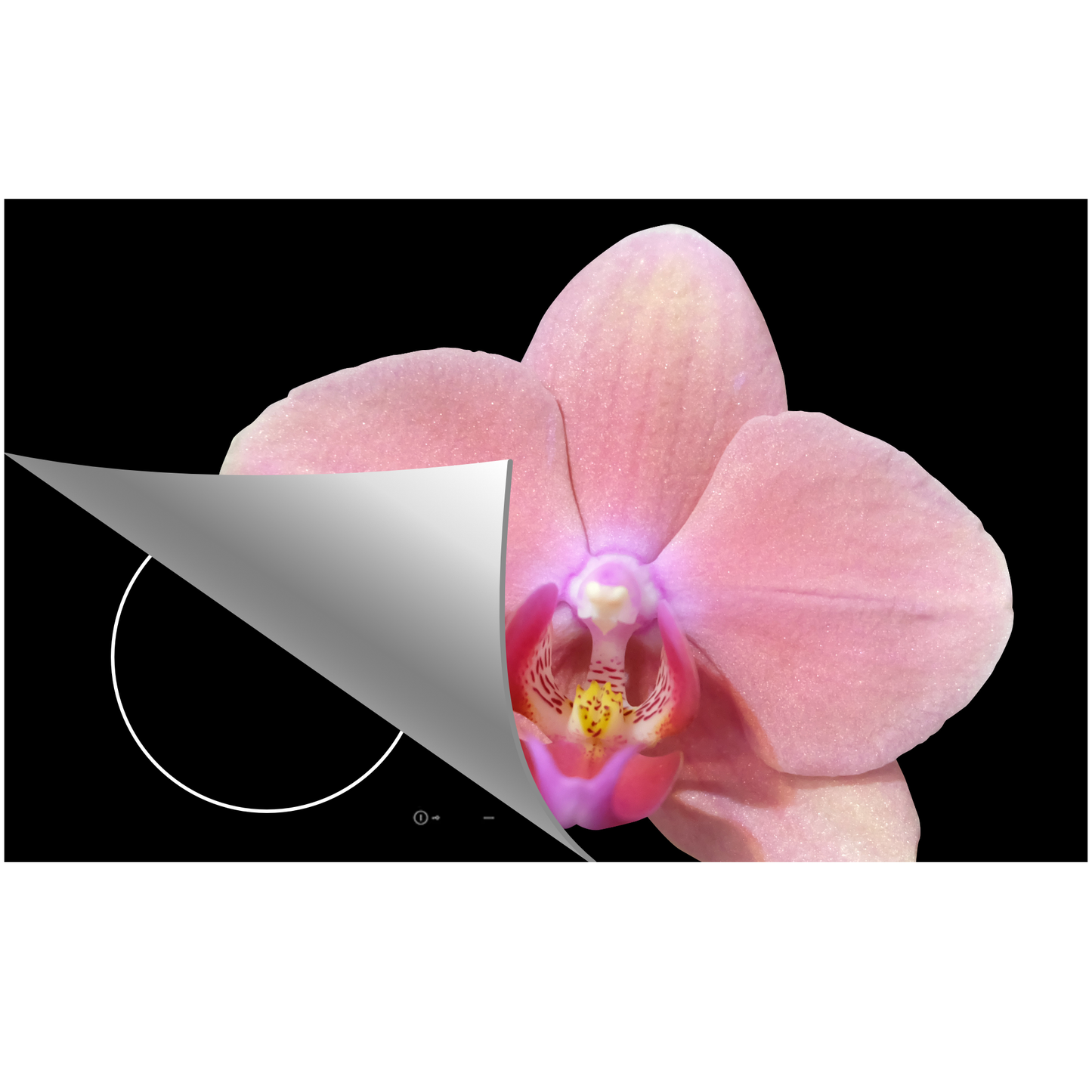 Inductie beschermer - Orchidee Roze